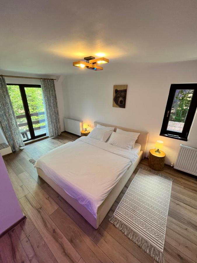 Cabana Din Padure Hotel Porumbacu de Sus Luaran gambar