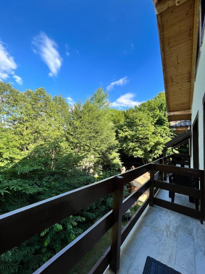 Cabana Din Padure Hotel Porumbacu de Sus Luaran gambar