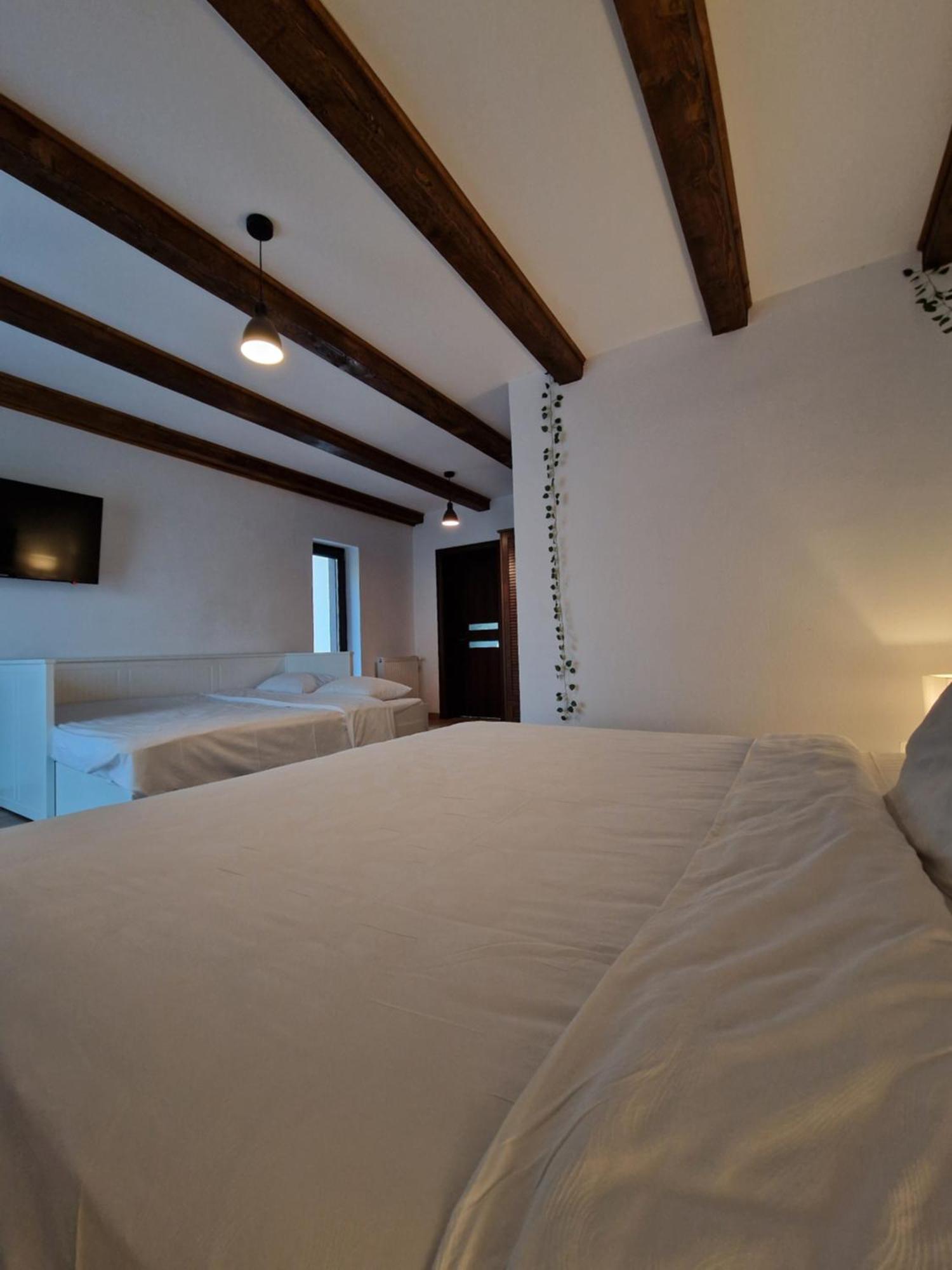 Cabana Din Padure Hotel Porumbacu de Sus Luaran gambar